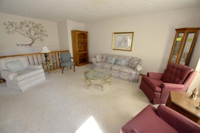 _KCB9874 (1)