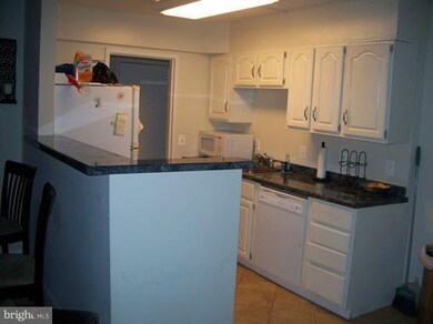 11621 Stoneview Square unit 75/2B, Reston, VA 20191 - photo 4