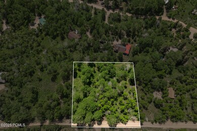 005_5428coulter15_669