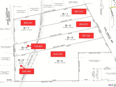 TBD H-5 Pea Ridge Rd, Albany, LA 70711 - photo 2