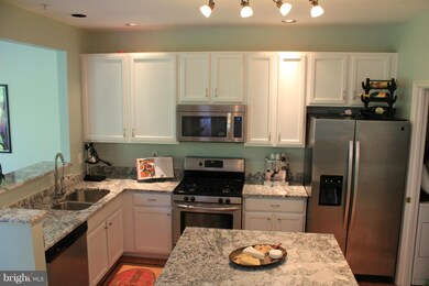 231 Arbor Vista Ln, Owings Mills, MD 21117 - photo 4