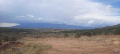 3784 Icehouse Rd, Fort Garland, CO 81133 - photo 5