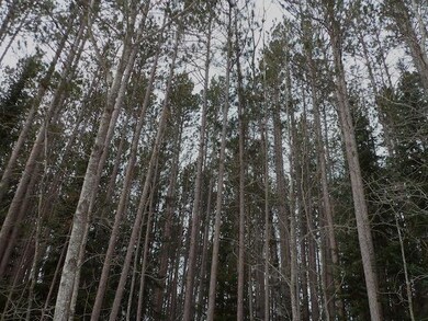 Duano Park