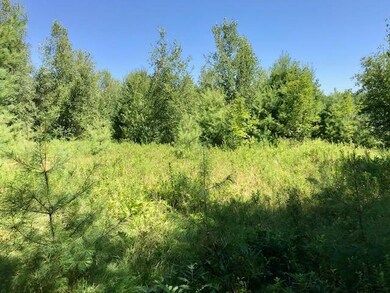 0 Hampshire St, Hiram, ME 04041 - photo 7