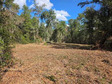 TBD NE 111th Ave, Archer, FL 32618 - photo 3