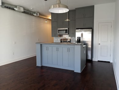 1011 Studemont St unit 204, Houston, TX 77007 - photo 2