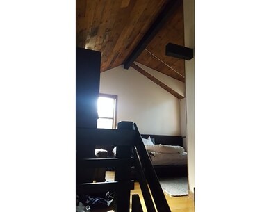 10 Lilac Ct, Cambridge, MA 02141 - photo 4