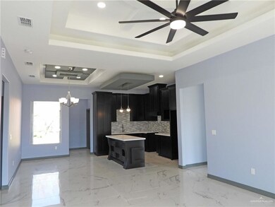 1116 Mezquite Dr, Alamo, TX 78516 - photo 5