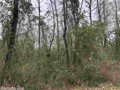 Lot 4 Cummings Ln unit Tract 9A & Tract 22, Texarkana, TX 75501 - photo 4