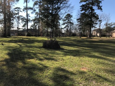 View from back of lot