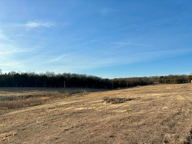 3855 Fall Creek Rd, Branson, MO 65616 - photo 5