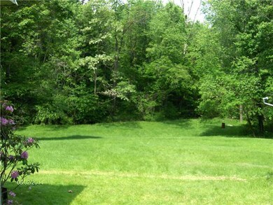 Yard/Garden.