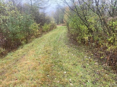 0 Gillies Hill Rd unit S1649074, Birdsall, NY 14822 - photo 3