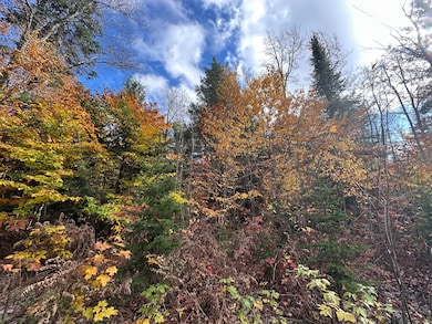 000 Pinewood Rd, McMillan Township, MI 49868 - photo 5