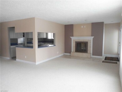 Spacious Living Room with Wood Burning Fireplace