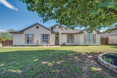 337 Dalhart Dr, Weatherford, TX 76086 - photo 4