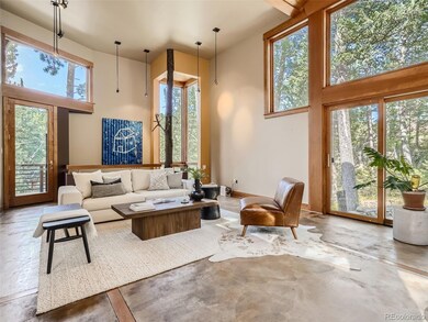 30144 Glen Eyrie Dr, Evergreen, CO 80439 - photo 6