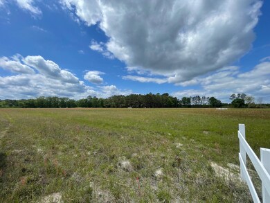 105 Rambling Ln, Cross, SC 29436 - photo 5