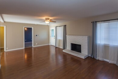 3238Begonia-MLS-4