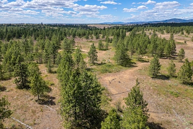 35350 Prairie Ln N unit Lot 7, Creston, WA 99117 - photo 7