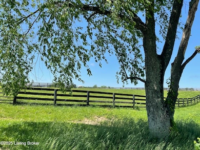 Upper paddock