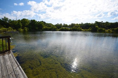 8 8th St E, Steinhatchee, FL 32359 - photo 6