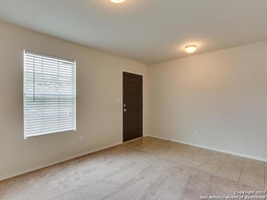 11703 Wildcat Cove, San Antonio, TX 78254 - photo 3