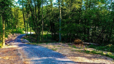 0 Old Lower River Rd NW unit 20253533, Charleston, TN 37310 - photo 4