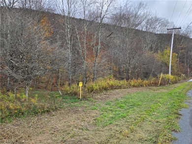 Lot 7 County Highway 6, Margaretville, NY 12455 - photo 5