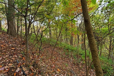 Lot 16 Little Ivy, Deep Gap, NC 28618 - photo 5