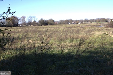 TRACT 2 Seed Cleaner Rd, Hartwell, GA 30643 - photo 4