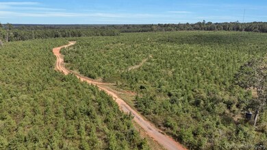 0 Louisiana 157 unit 21128560, Haughton, LA 71037 - photo 3