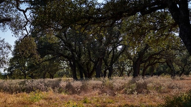 6748 S Hwy 87, Mason, TX 76856 - photo 7