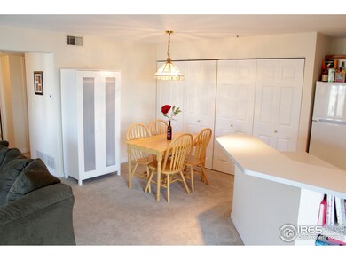 33 S Boulder Cir unit 301, Boulder, CO 80303 - photo 3