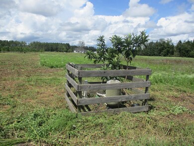 56161 Davis Rd, Callahan, FL 32011 - photo 2