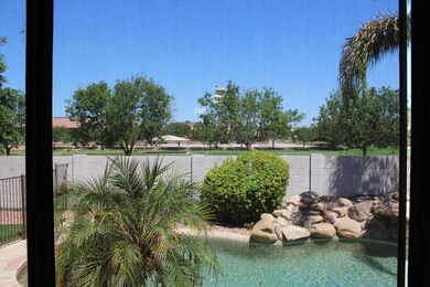 View from kitchen