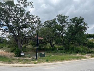 23403 Nina Ridge, San Antonio, TX 78255 - photo 2
