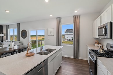 959 Sapphire Ln, Aurora, IL 60506 - photo 4