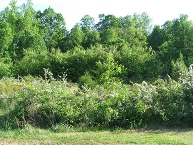 170 Oak Creek Rd unit 449, Statesville, NC 28625 - photo 2