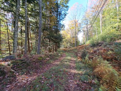Lot 4 Nh Route 49, Thornton, NH 03285 - photo 3
