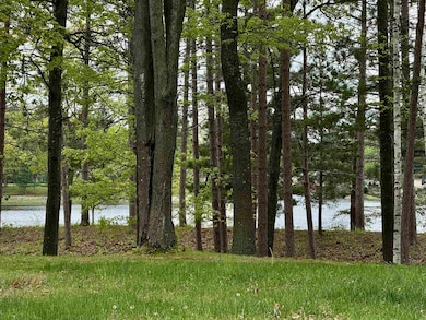 4682 Mohawk Trail, Gladwin, MI 48624 - photo 4