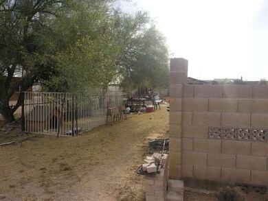DOG RUN