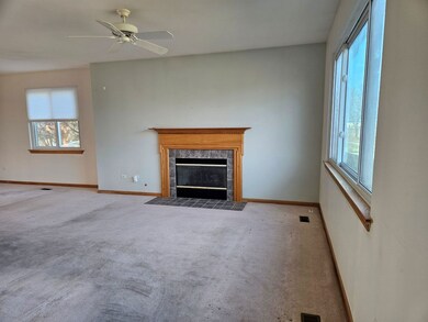 21320 W Douglas Ln, Plainfield, IL 60544 - photo 3