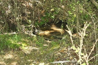 00 Old Station Rd, West Union, SC 29696 - photo 6