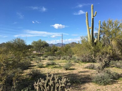 Views w Saguaro Cactus