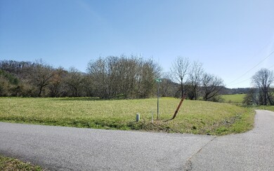 Additional View