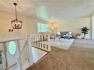 407 Keller Ln, Williamstown, WV 26187 - photo 6