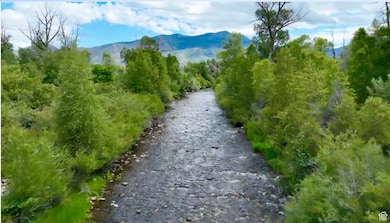 Water view featuring a mountain backdrop and a heavily wooded area