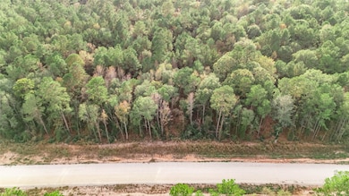 134 Splendid Rd, New Waverly, TX 77358 - photo 4