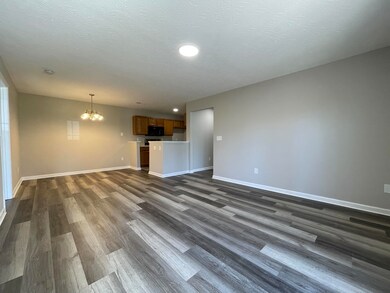 Updated Lighting, Paint & Flooring